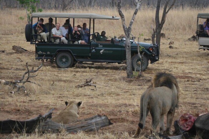 Chobe Full Day Safari with Buffet Lunch from Livingstone 5