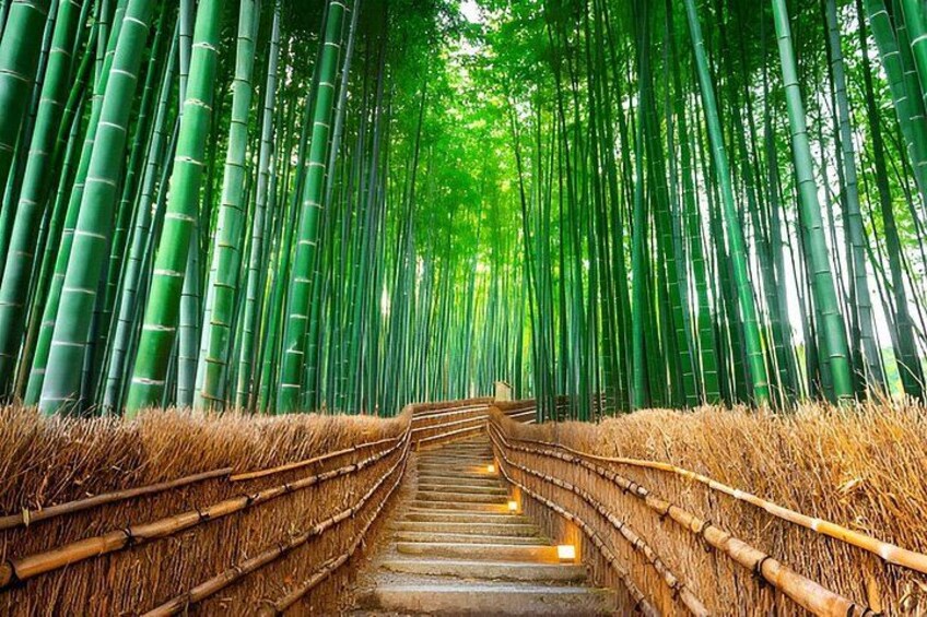A bamboo forest with a wooden walkway. 5