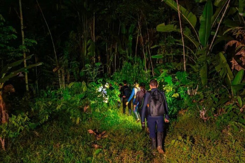 Ancient Malocan Culture and Tree House Jungle Tour 4