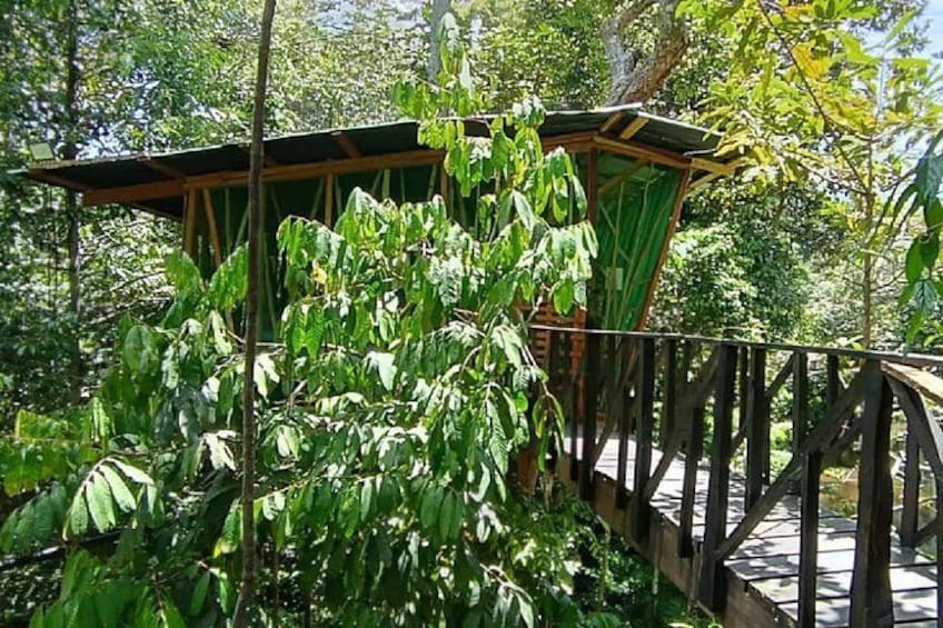 Ancient Malocan Culture and Tree House Jungle Tour 3
