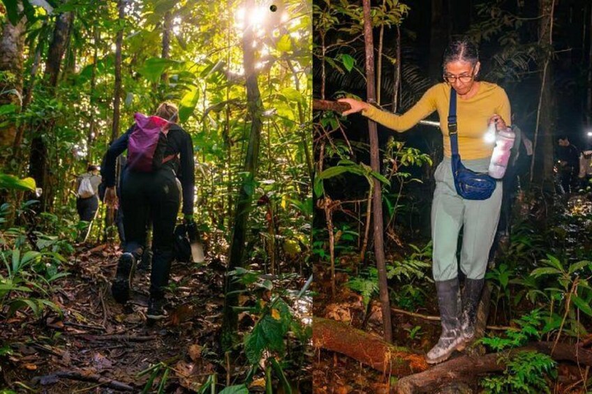 Ancient Malocan Culture and Tree House Jungle Tour 1
