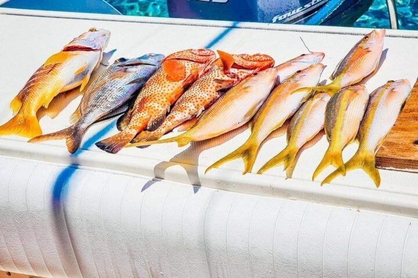 Private San Pedro Fishing Excursion Barrier Reef Offshore Options 3