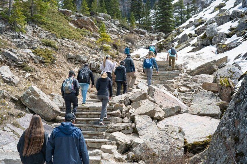4 hour Moraine Lake Tour from Banff and Canmore 3