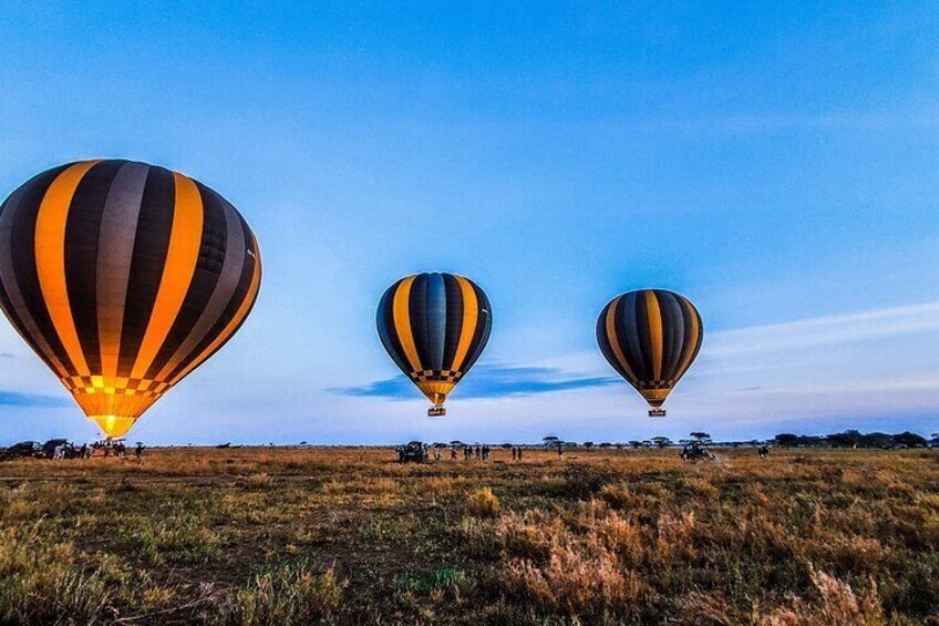 Drei Heißluftballons in einem Feld unter blauem Himmel. 3