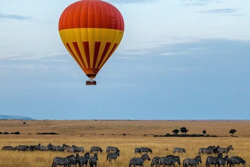 Eine Heißluftballon über einer Savanne, darunter grasen Zebras. 1