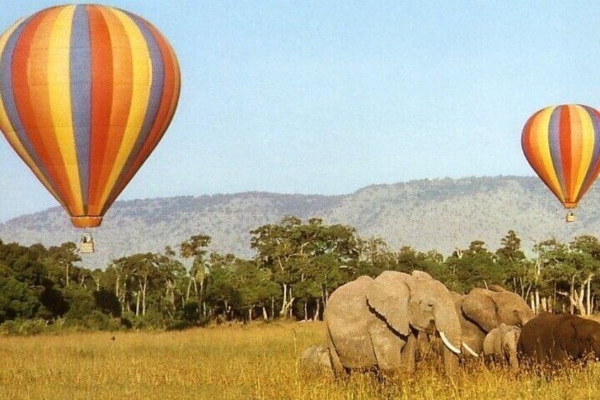 Zwei Heißluftballons, eine Elefantenherde und eine grasbewachsene Savanne mit Bäumen und Bergen im Hintergrund. 4