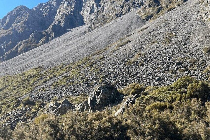 Christchurch to Arthur Pass & castle Hill (Day tour) 3