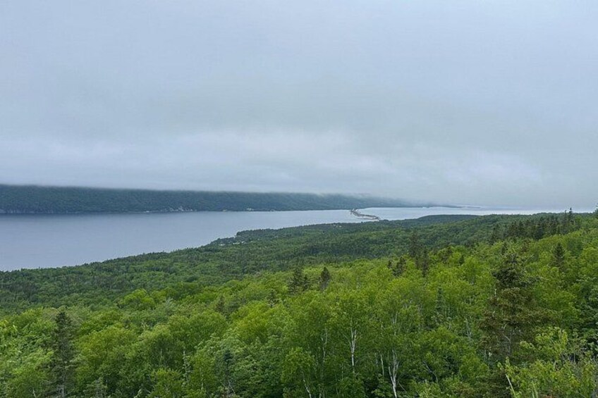 A coastal landscape with dense green forest, a large body of water, and a distant bridge. 4