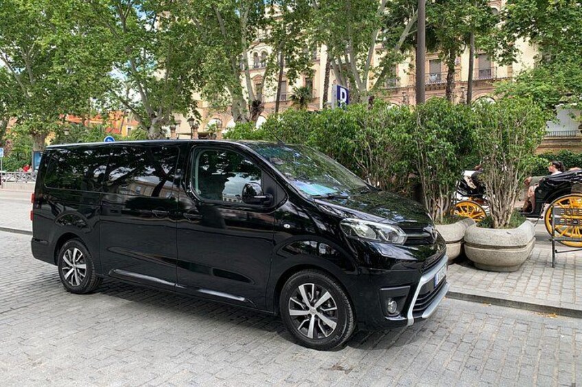 En sort minivan parkeret på en brostensbelagt gade med træer og en bygning i baggrunden. 2