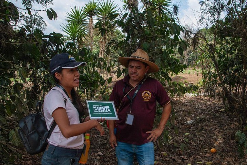 Interpreter and coffee producer leading the experience. 4