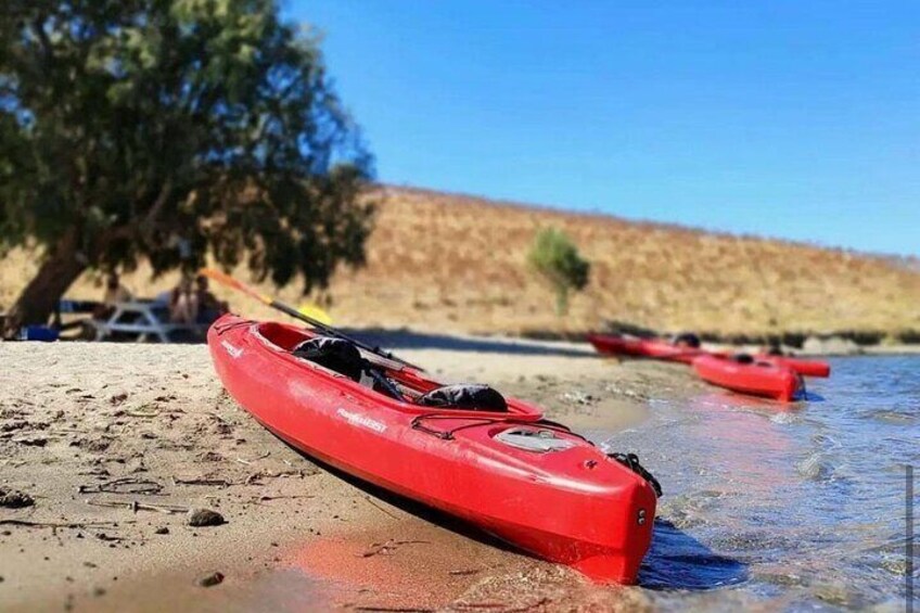 A red kayak on a sandy beach with calm water and a tree in the background. 4