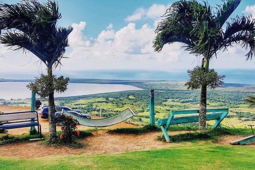 Eine Hängematte zwischen Palmen mit Blick auf eine Küstenlandschaft. 5