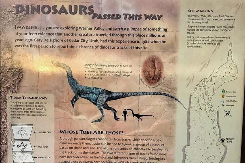 Dinosaur Tracks 2
