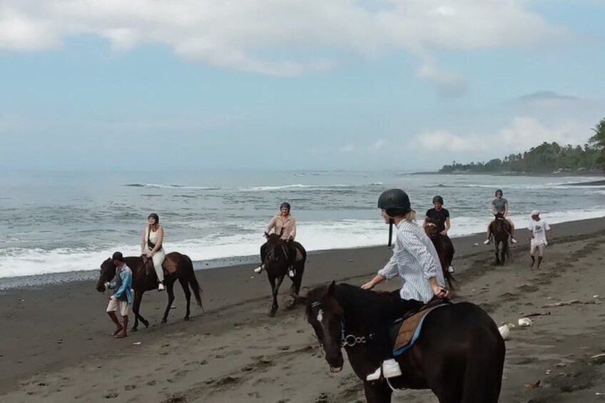 Private Bali Horse Ride and Snorkeling all include 5