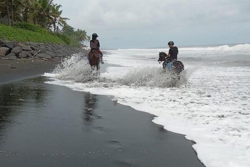 Private Bali Horse Ride and Snorkeling all include 5