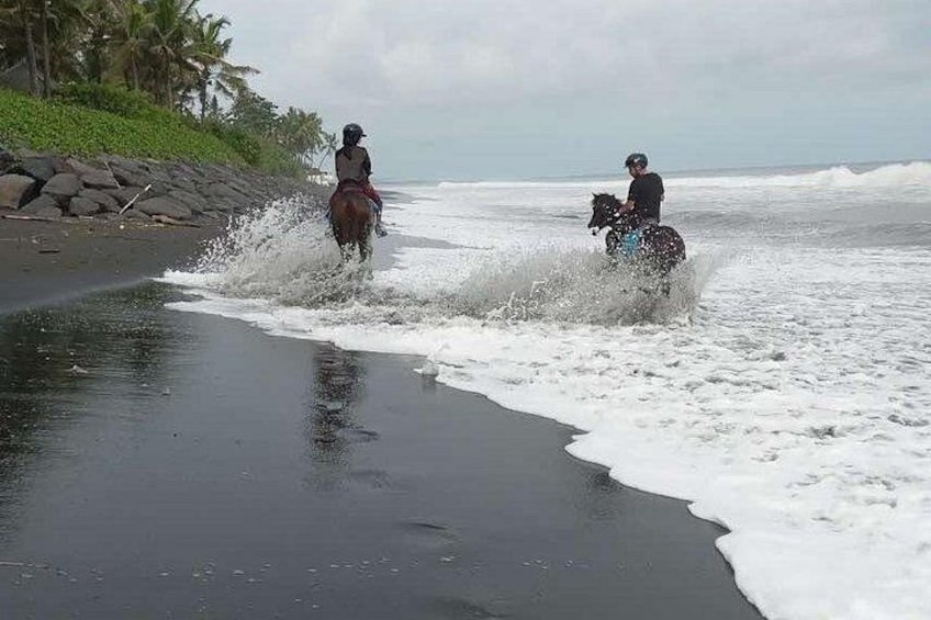 Private Bali Horse Ride and Snorkeling all include 3