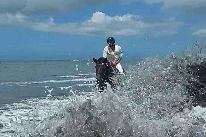Private Bali Horse Ride and Snorkeling all include 4