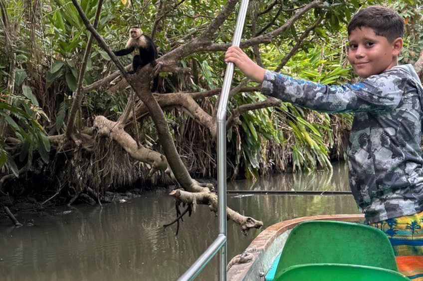 Une personne dans un bateau, avec un singe perché sur une branche au milieu d’une rivière bordée d’une végétation luxuriante. 4