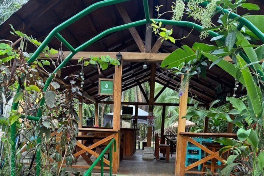 Un espace jardin aménagé, abrité et agrémenté de structures en bois et de plantes vertes. 3