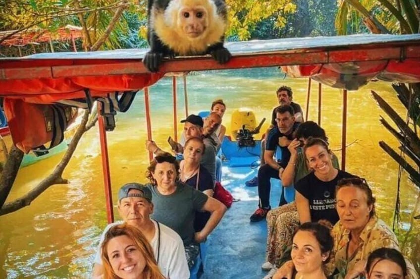 Un groupe de personnes se trouve sur un bateau fluvial, et un singe est perché sur le toit. 1