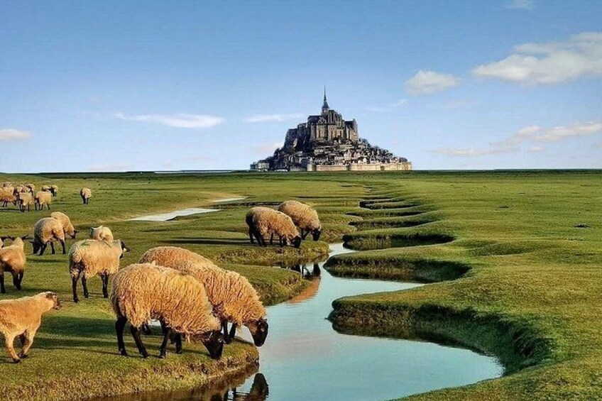 Private Day Trip to Mont-Saint-Michel and Rouen from Paris 1