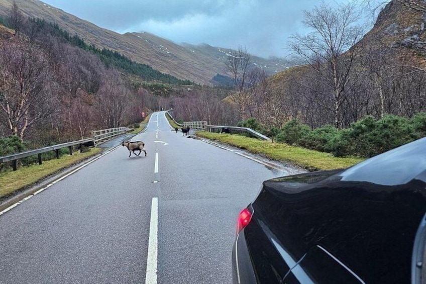 3 Day Isle of Skye Adventure from Edinburgh 2