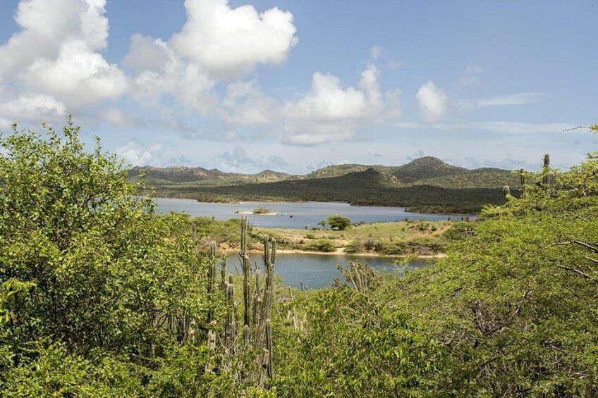 Un lago rodeado de colinas y vegetación escasa. 4