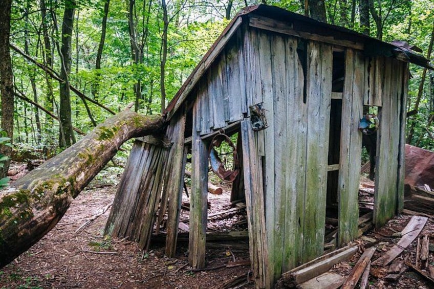 A dilapidated wooden structure in a forest. 4
