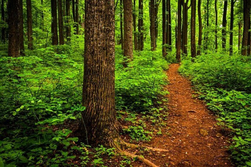Shenandoah National Park Self-Guided Driving Audio Tour 3