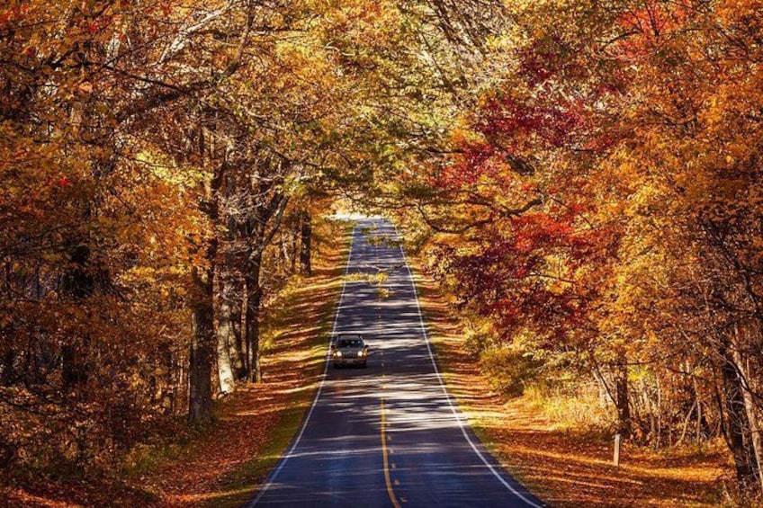 Shenandoah National Park Self-Guided Driving Audio Tour 2