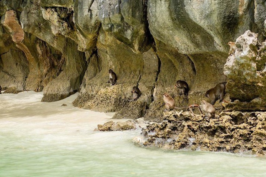 Phi Phi Maya Bay and Khai Island Snorkeling Trip from Phuket 5