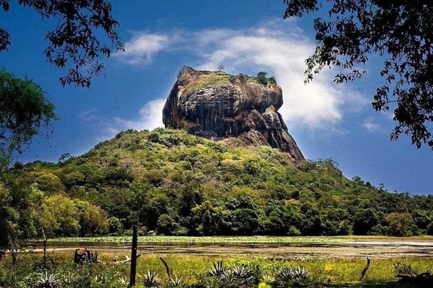 Sigiriya Dambulla Caves and Minneriya Safari Day Trip from Kandy 2