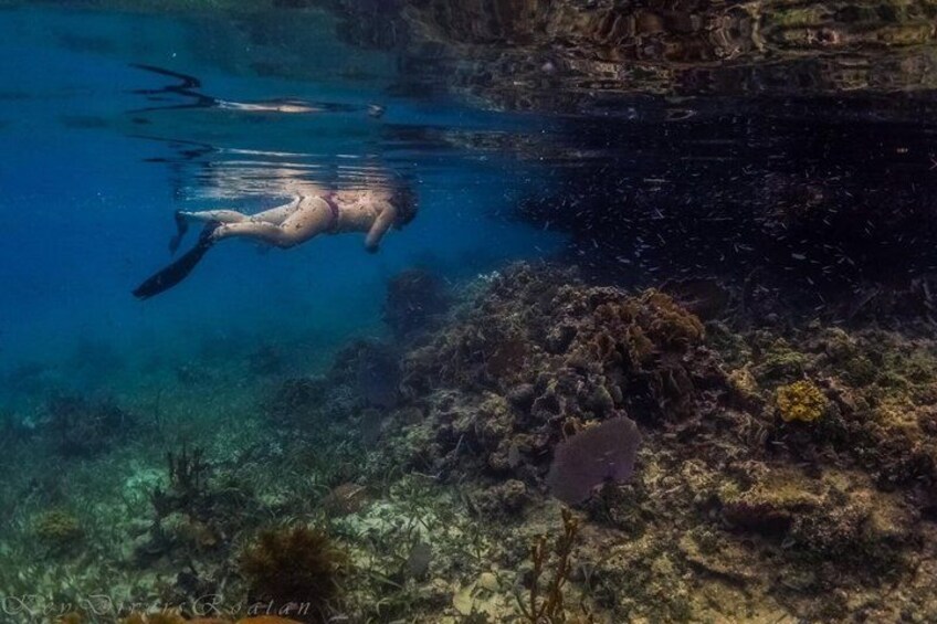 En person snorkler under vandet med et koralrev og klippeformationer i baggrunden. 5
