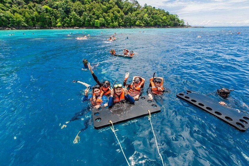 A group of people snorkeling in a clear blue sea with a forested island in the background. 1