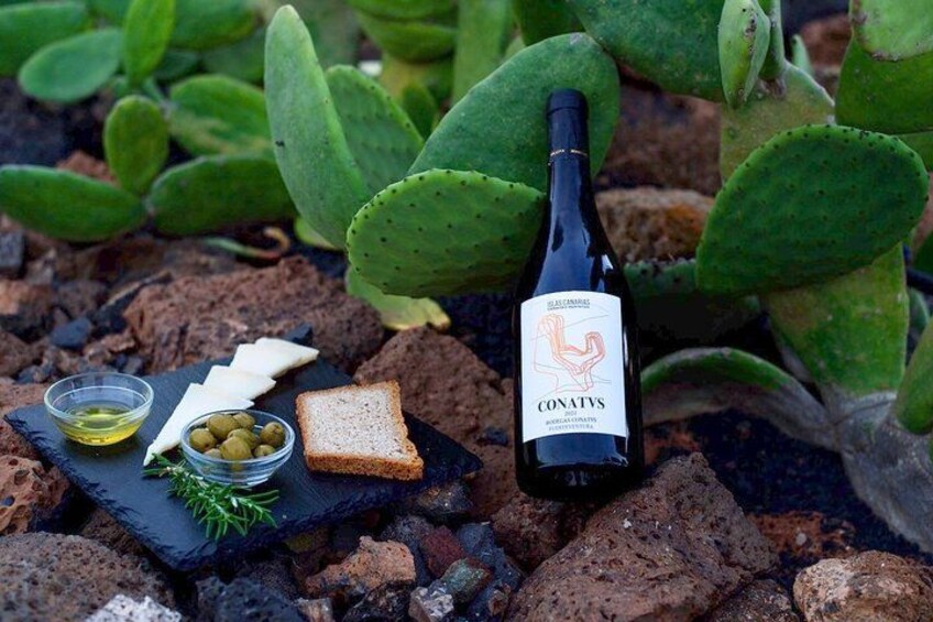 A bottle of Conatus wine, a small plate with cheese and olives, and a slice of bread on a slate board, surrounded by cacti. 4