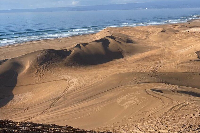 Una spiaggia sabbiosa con dune sinuose e l'oceano sullo sfondo. 5