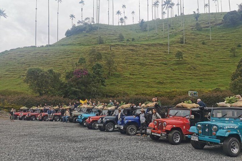 Private Tour Cocora Valley, Salento, Philandia and Coffee 4