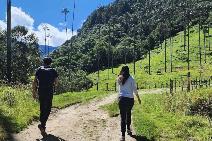Private Tour Cocora Valley, Salento, Philandia and Coffee 3