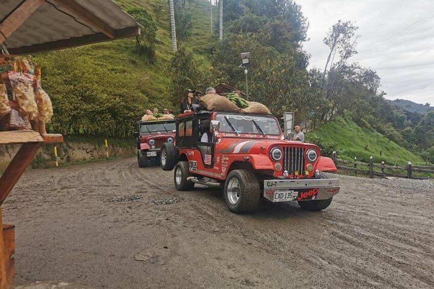 Private Tour Cocora Valley, Salento, Philandia and Coffee 5