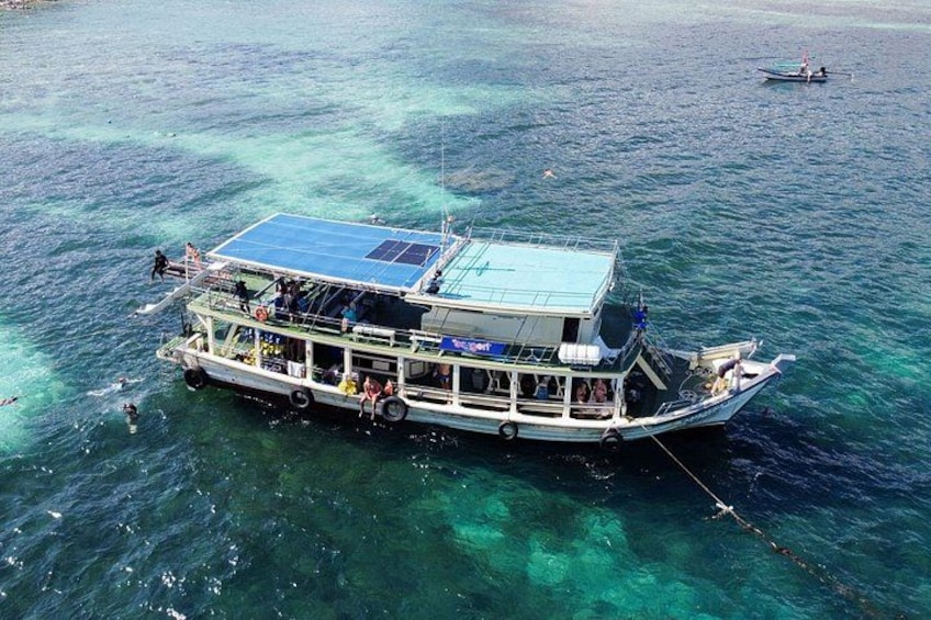 Coral Snorkeling around Koh Tao and Koh Nang Yuan 1