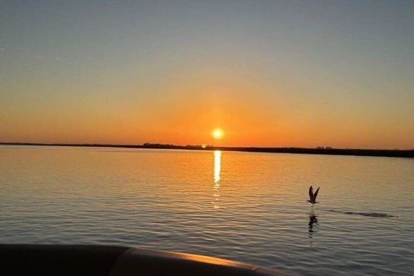 Private Sunset Cruise in Savannah's Low Country 2