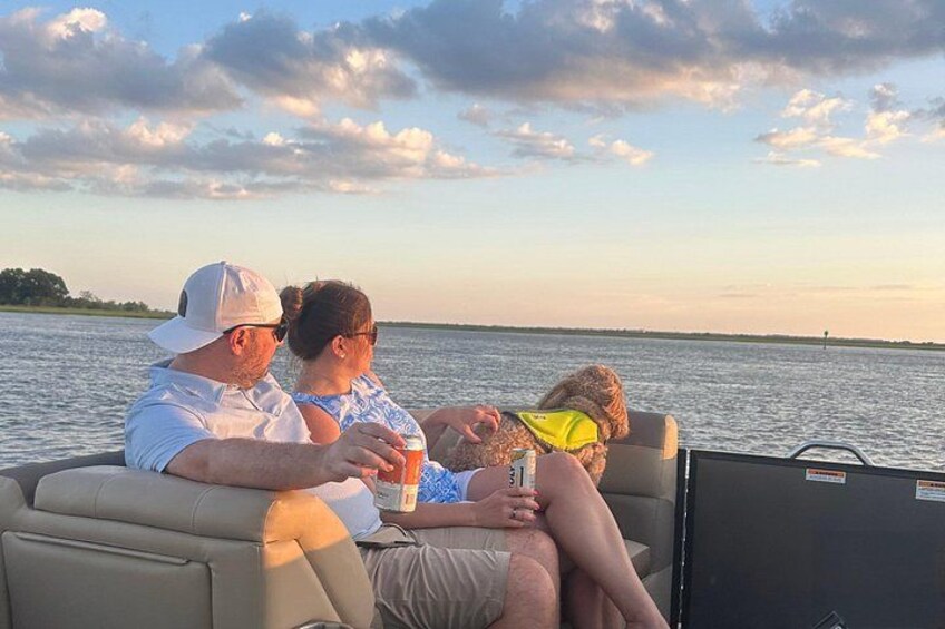 Enjoying the view (pups are welcome) 1
