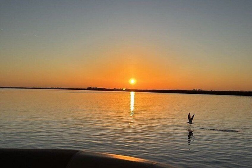 Private Sunset Cruise in Savannah's Low Country 3