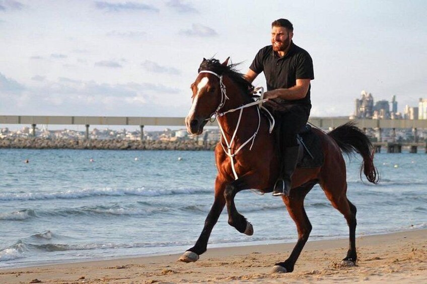 A person riding a horse on a beach with a city skyline in the background. 2