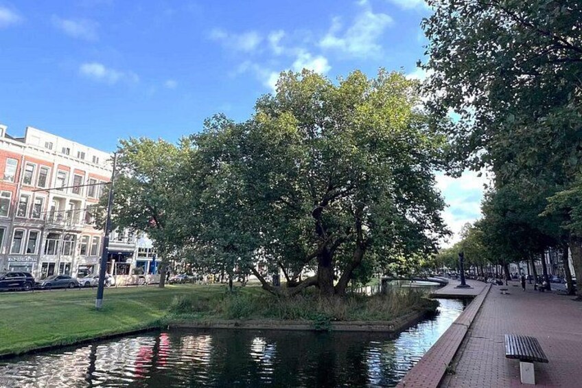 From River to Metropolis: A Rotterdam City Self Guided Audio Tour 5