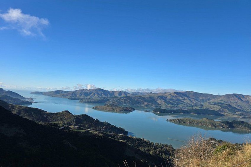 Christchurch Private Tour (Premium) Full day 1
