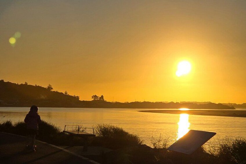 Christchurch Private Tour (Premium) Full day 4