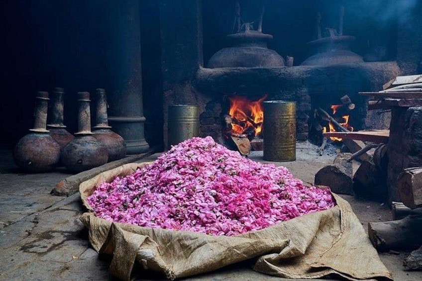 Un montón de flores rosadas sobre una tela, cerámica tradicional y un fuego al fondo. 1