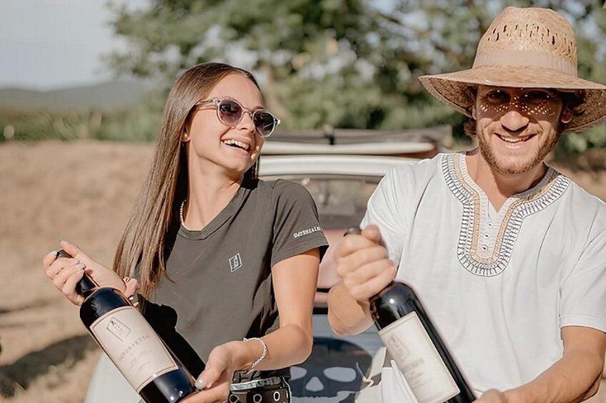 Wine Tasting and Estate Tour in Bolgheri 1