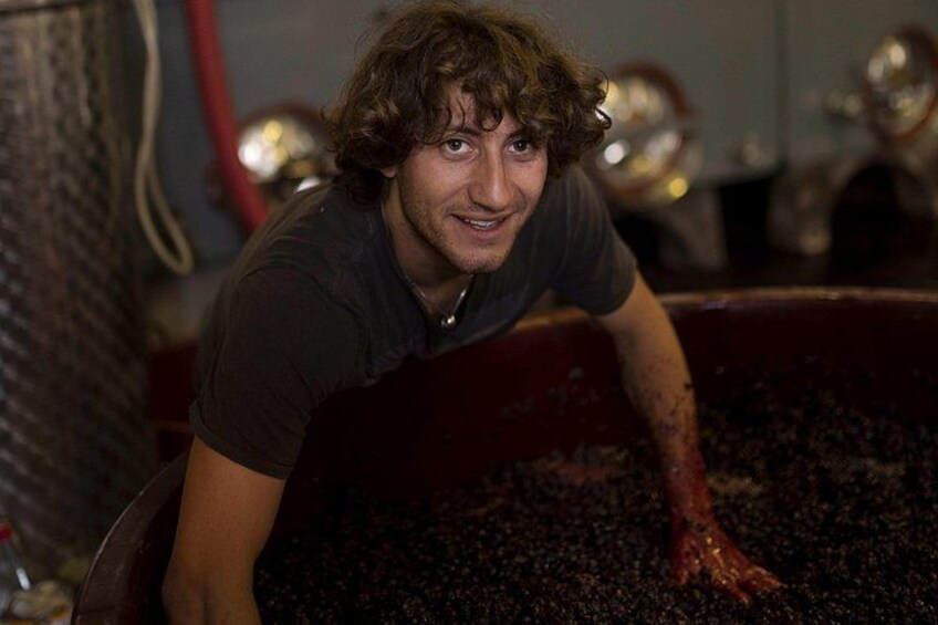 Wine Tasting and Estate Tour in Bolgheri 4